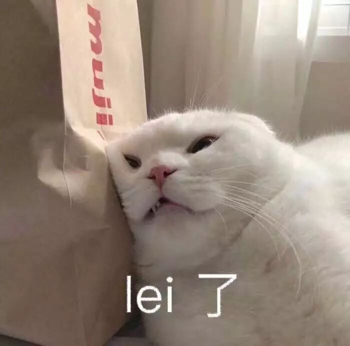 DƬ